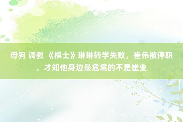 母狗 调教 《棋士》琳琳转学失败，崔伟被停职，才知他身边最危境的不是崔业