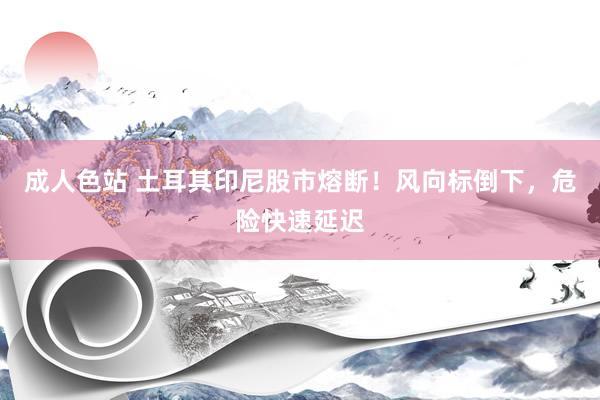成人色站 土耳其印尼股市熔断！风向标倒下，危险快速延迟
