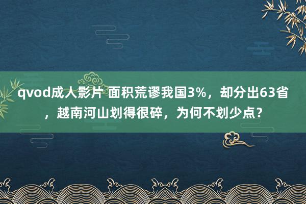 qvod成人影片 面积荒谬我国3%，却分出63省，越南河山划得很碎，为何不划少点？