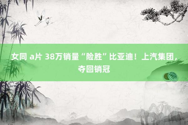 女同 a片 38万销量“险胜”比亚迪！上汽集团，夺回销冠