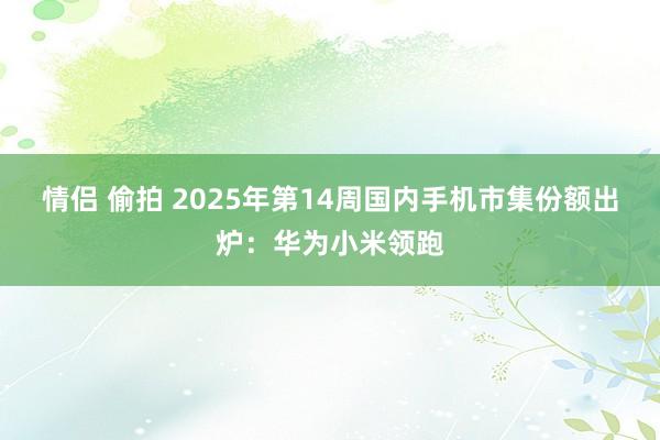 情侣 偷拍 2025年第14周国内手机市集份额出炉：华为小米领跑