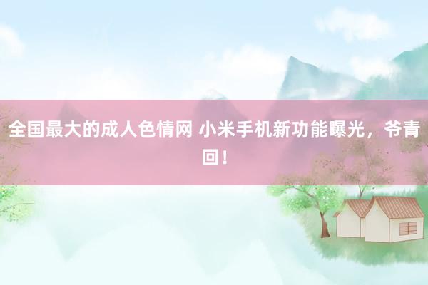 全国最大的成人色情网 小米手机新功能曝光，爷青回！
