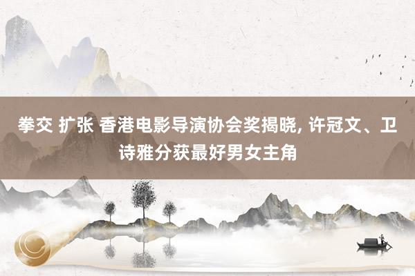 拳交 扩张 香港电影导演协会奖揭晓， 许冠文、卫诗雅分获最好男女主角